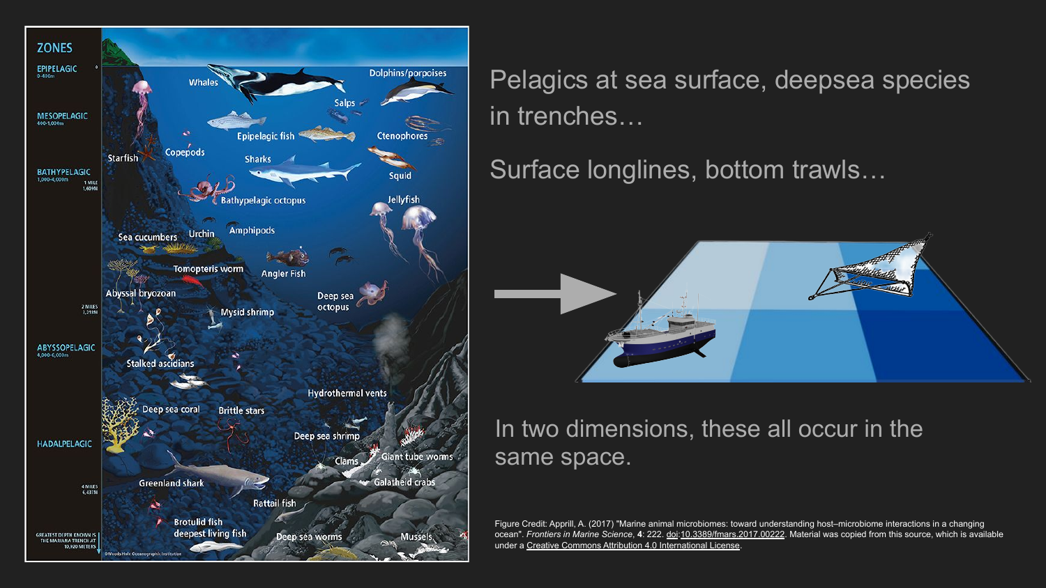 Ocean depth zones collapsed into a single 2D plane